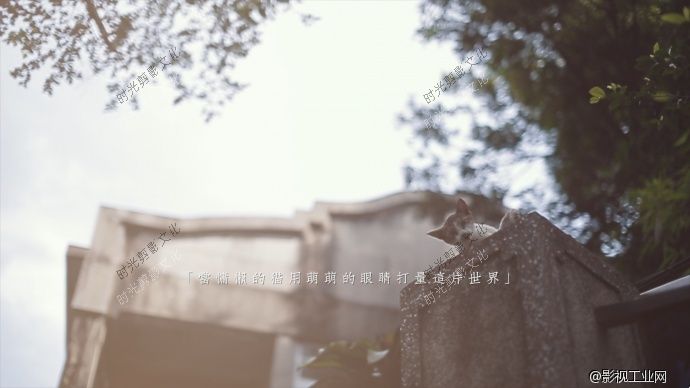 【松下最佳婚礼】鼓浪屿最好的旅行微电影《慢时光》