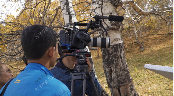 如何打开画质宝藏 ——佳能EOS C300 Mark II资深使用者孙辉导演访谈