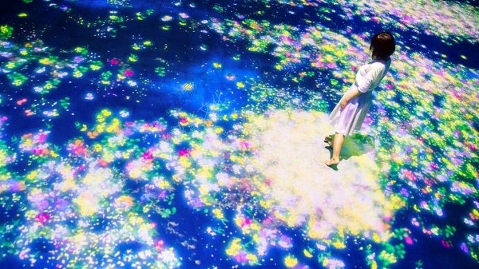 展品一瞥