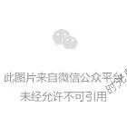 灵动魅影·稳如磐石丨零度智控HIGHONE现身劳斯莱斯Wraith片场
