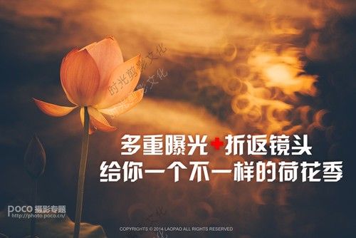 多重曝光折返镜头 给你一个不一样的荷花季