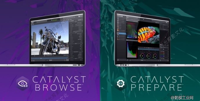 SONY Catalyst Browse Prepare