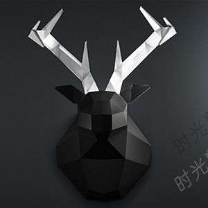 Portfolio Images