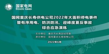 2022-06-30有序用电、防洪防汛、迎峰度夏反事故综合应急演练