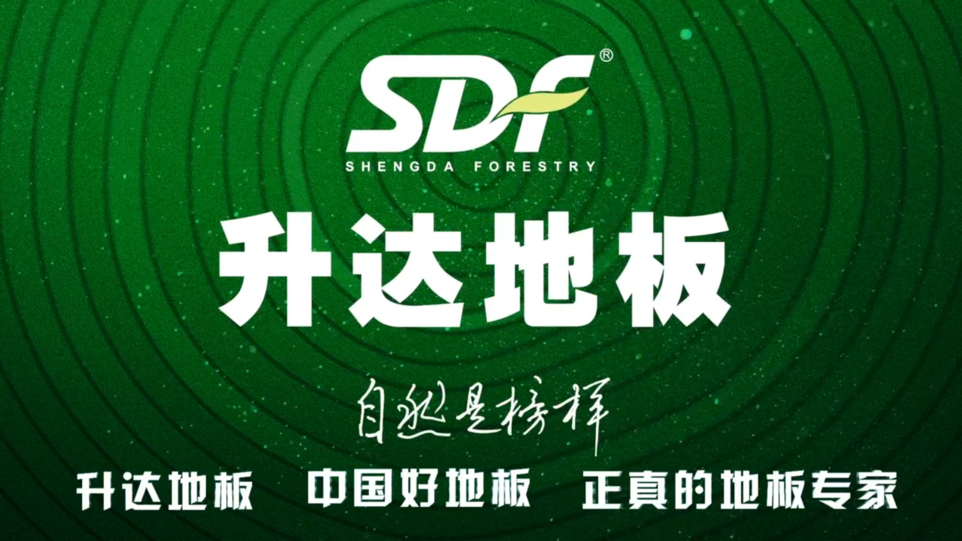升达地板TVC广告