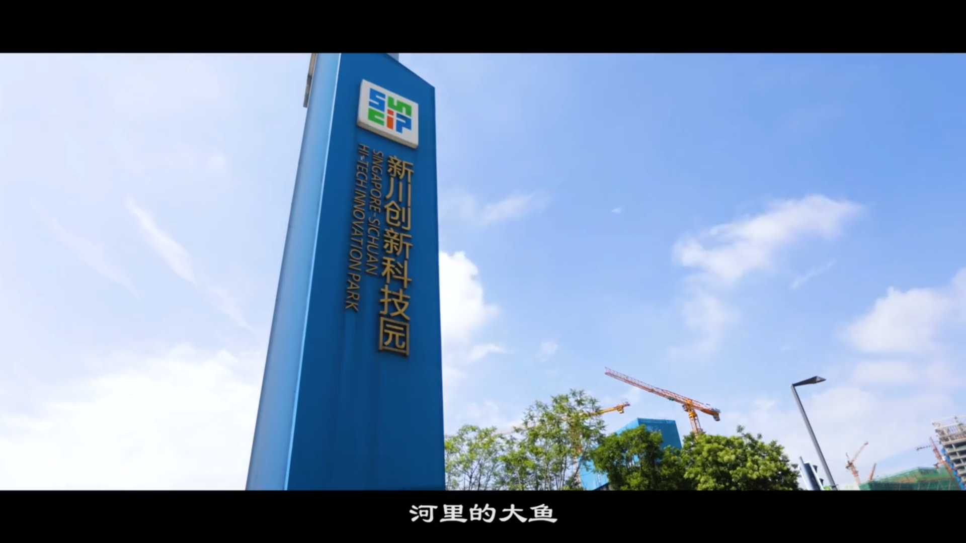 让中国更美丽 高新区