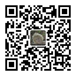 学员作品 | 在职调色师拒绝野路子,从零开始学调色