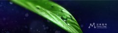 创意-5分钟片头凝聚100天 - 成都影视资讯 · 时光剪影SC-FILM