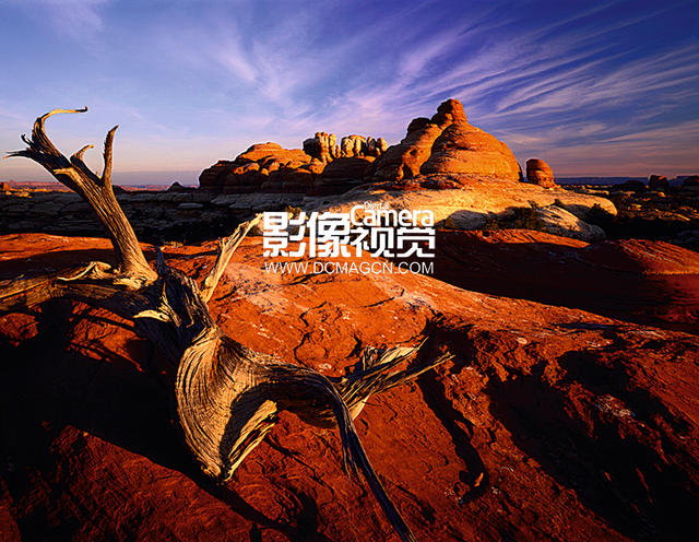 DCM112.feature.tom_mackie2.jpg