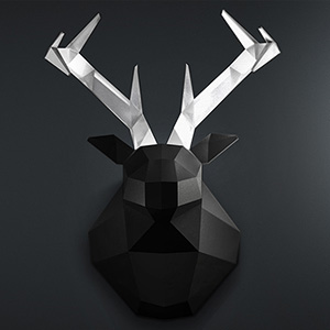 Portfolio Images